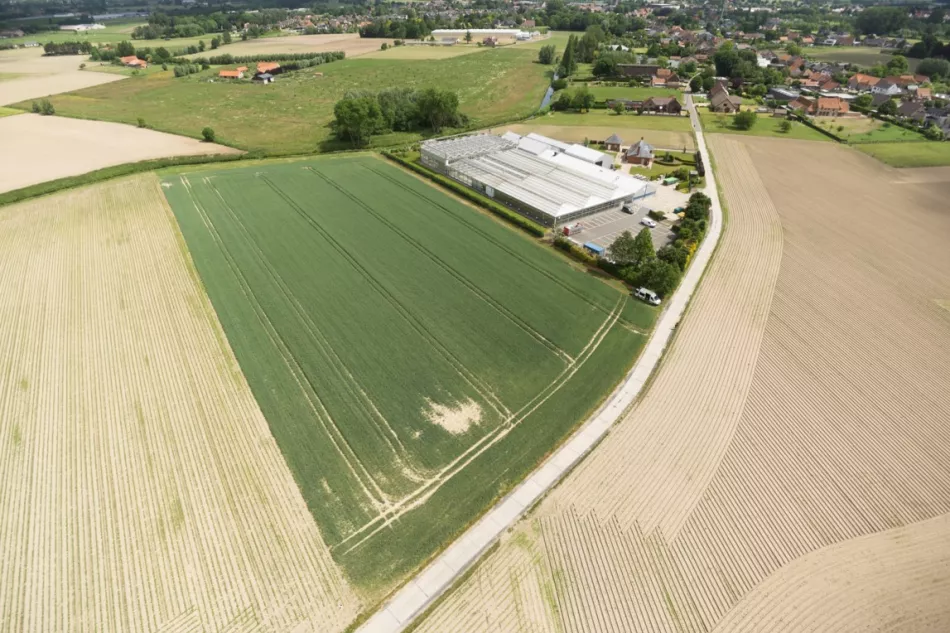 field from the air