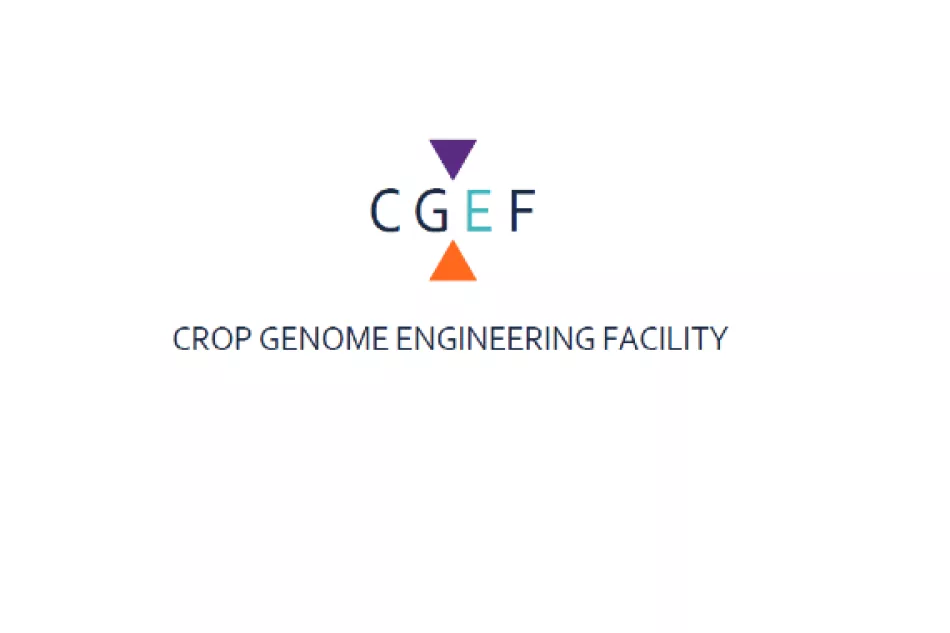 cgef