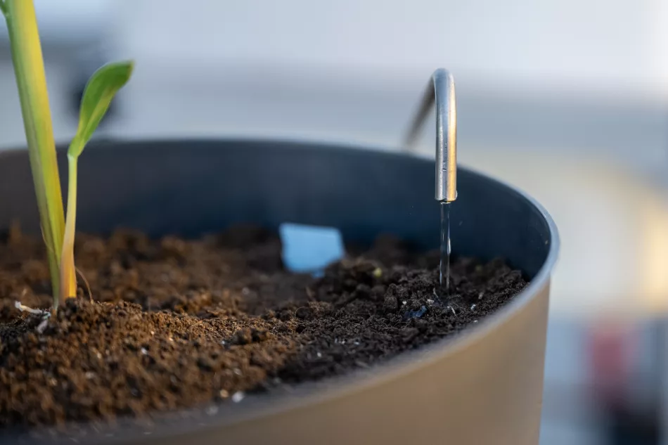 watering station
