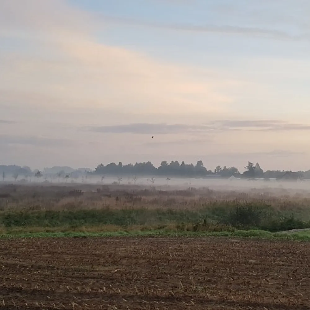 nevele mist